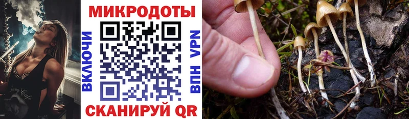 Псилоцибиновые грибы Psilocybe  kraken онион  Кадников 