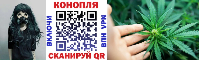 Бошки Шишки Amnesia  Кадников 